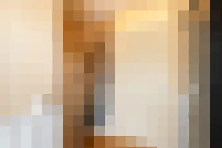 Getijmolenerf 64 Gouda thumbnail 20