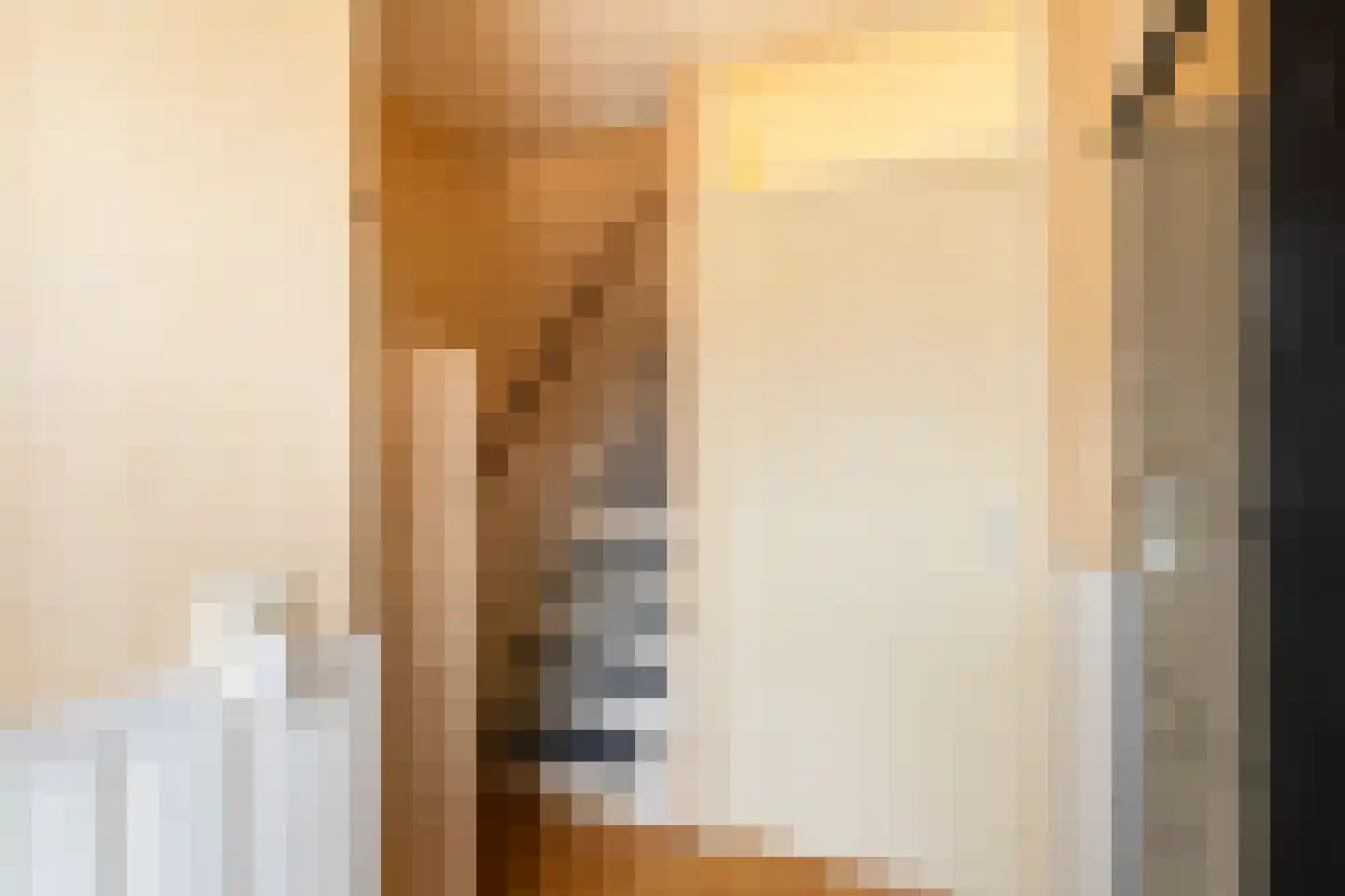 Getijmolenerf 64 Gouda thumbnail 20