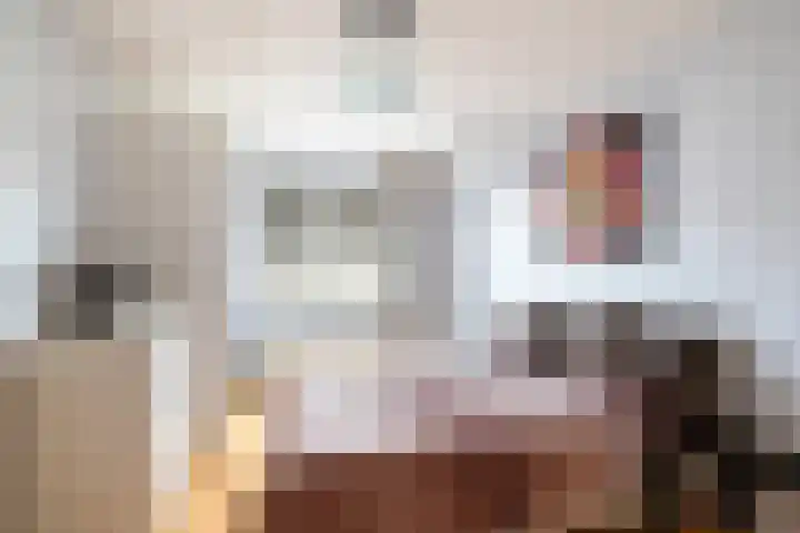 Getijmolenerf 64 Gouda thumbnail 22