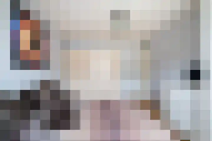 Getijmolenerf 64 Gouda thumbnail 23