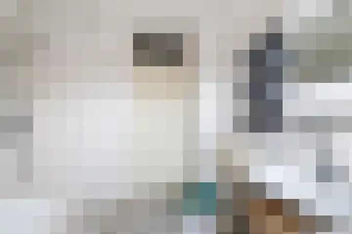 Getijmolenerf 64 Gouda thumbnail 26
