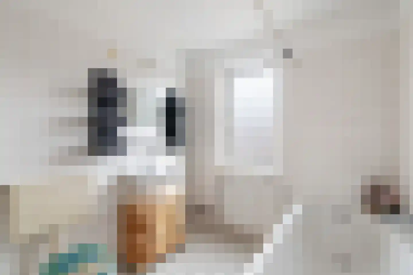 Getijmolenerf 64 Gouda thumbnail 27