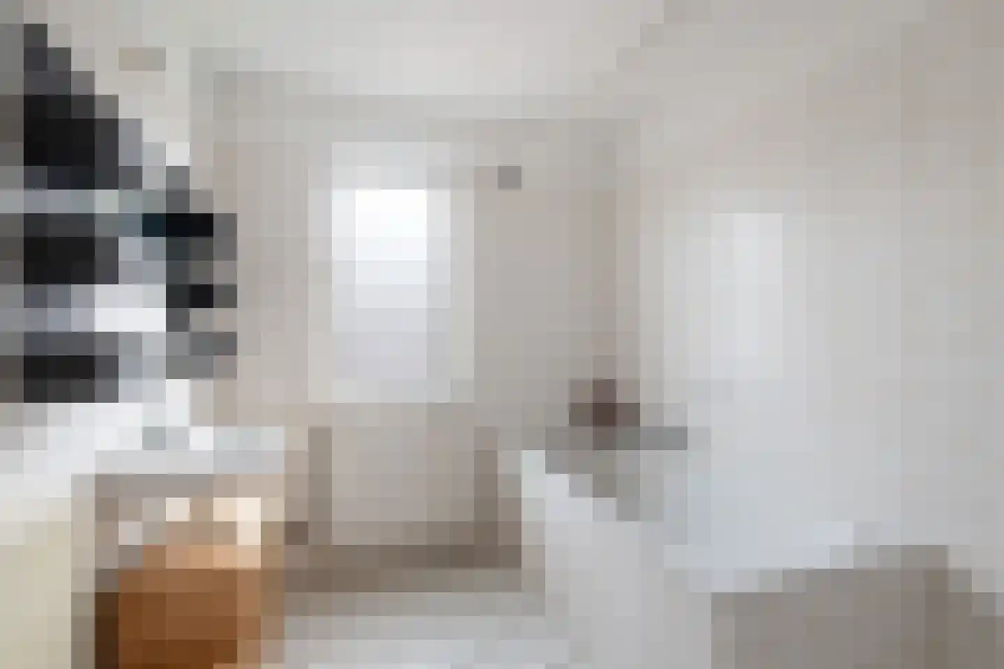 Getijmolenerf 64 Gouda thumbnail 29