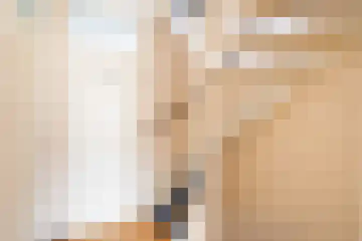 Getijmolenerf 64 Gouda thumbnail 30