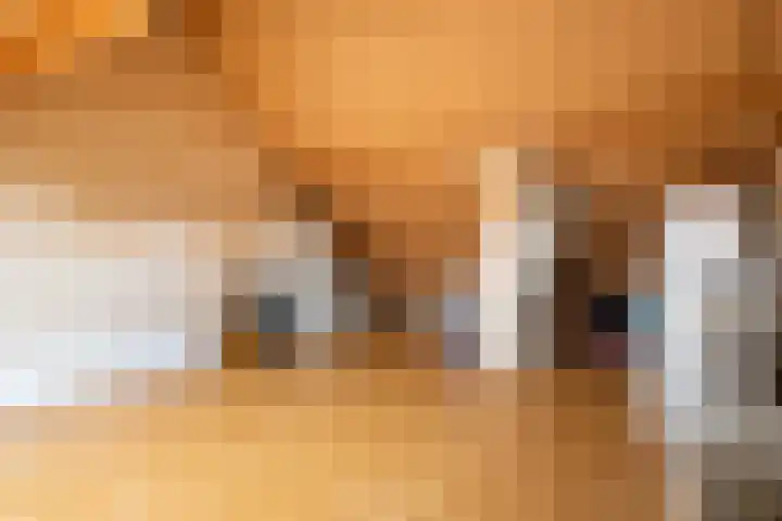 Getijmolenerf 64 Gouda thumbnail 33