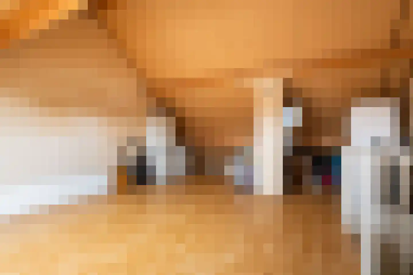 Getijmolenerf 64 Gouda thumbnail 33