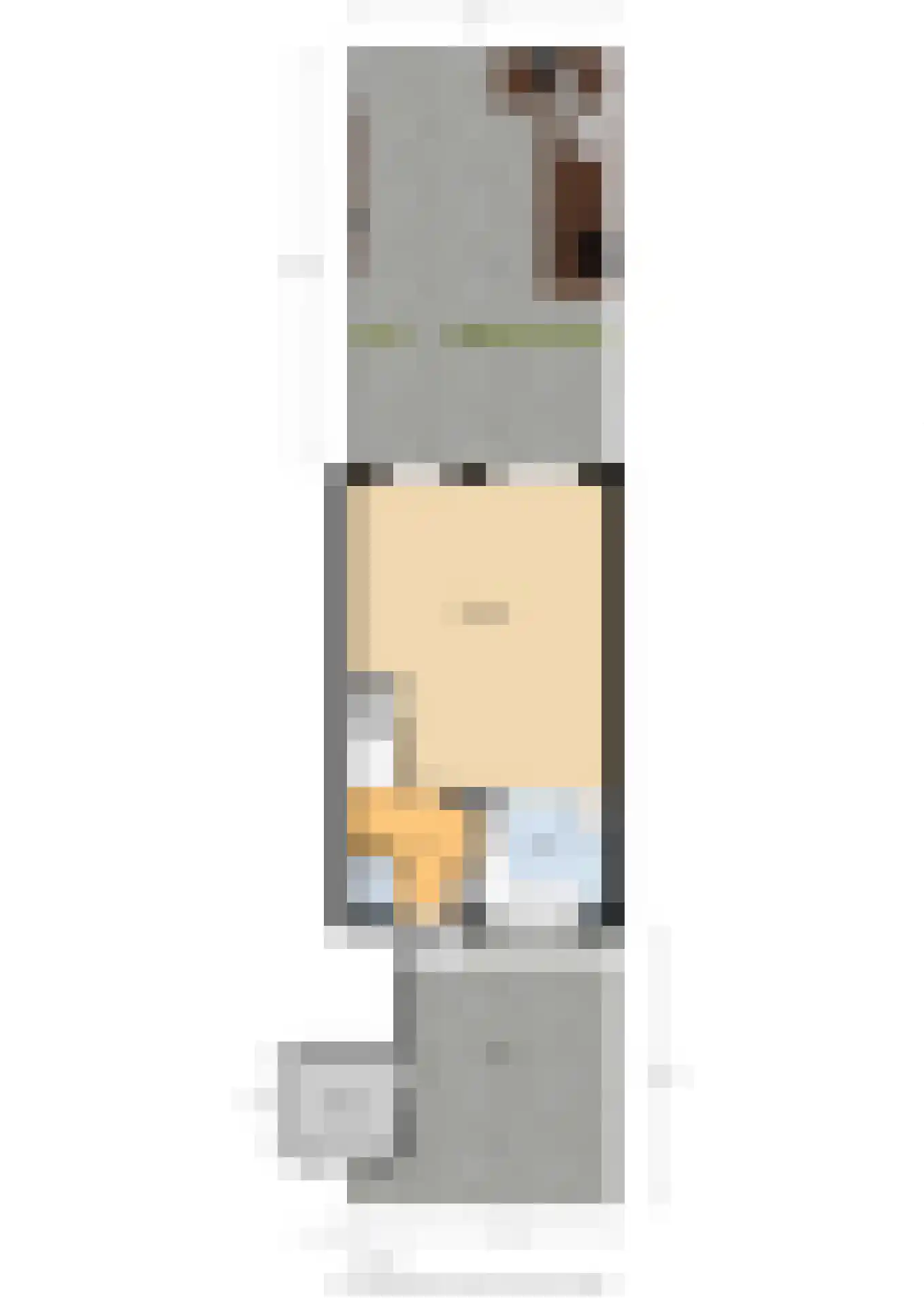 Getijmolenerf 64 Gouda thumbnail 43