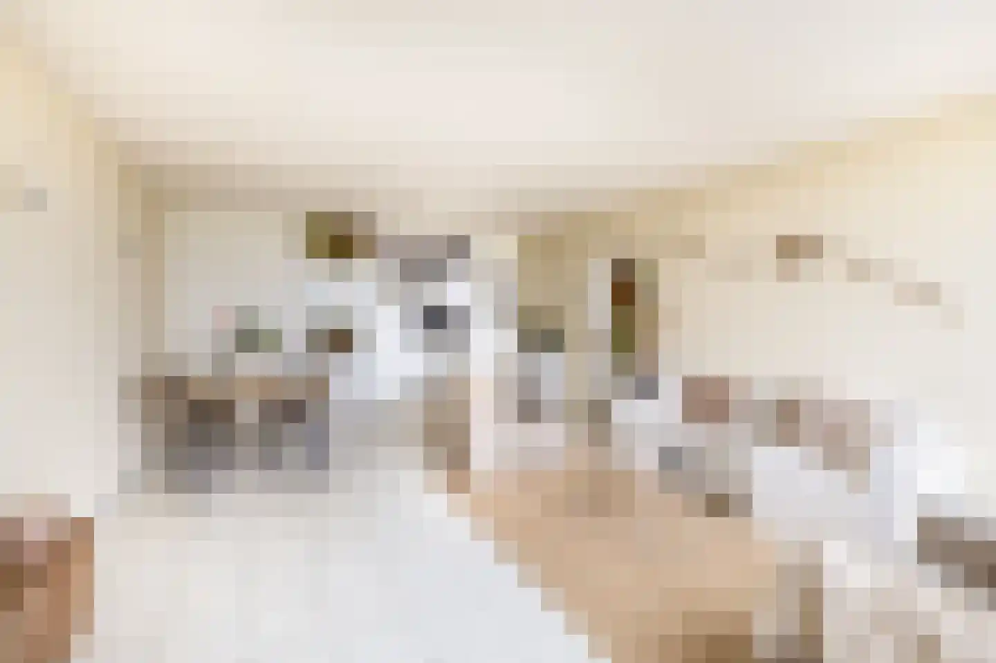 Getijstroom 34 Hellevoetsluis thumbnail 9
