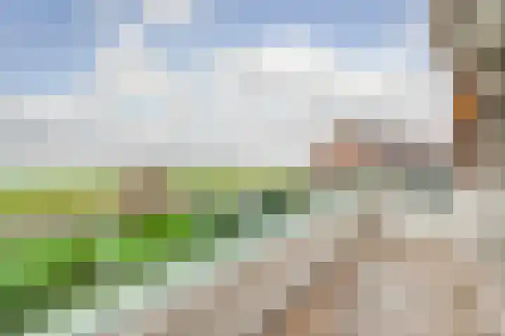 Getijstroom 42 Hellevoetsluis thumbnail 42