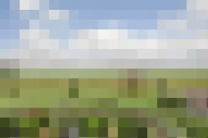 Getijstroom 42 Hellevoetsluis thumbnail 43