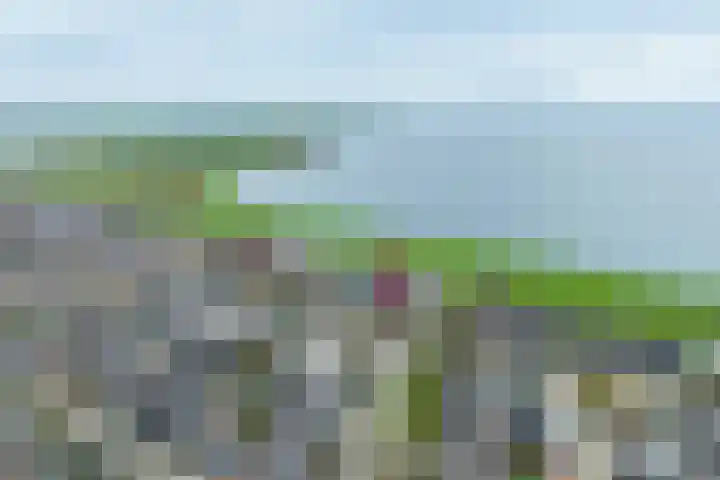 Getijstroom 9 Hellevoetsluis thumbnail 6