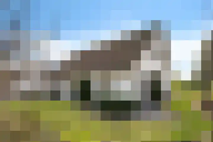 Geukerdijk 108 a Haaksbergen thumbnail 54