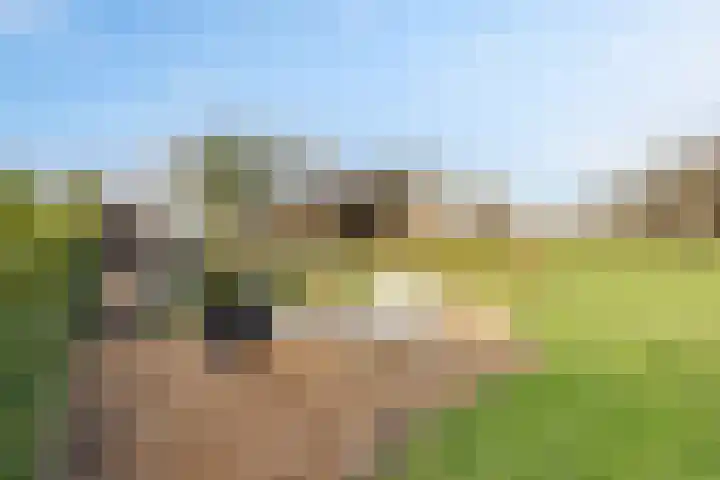 Geukerdijk 108 a Haaksbergen thumbnail 57