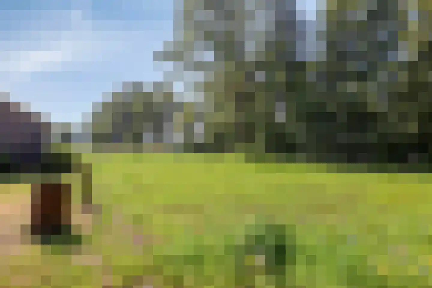 Geukerdijk 116 Haaksbergen thumbnail 37