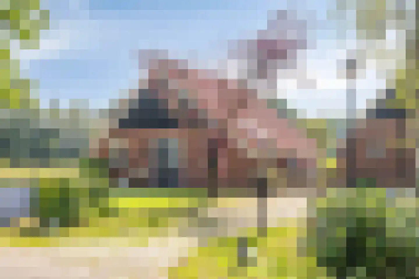 Geukerdijk 116 Haaksbergen thumbnail 6