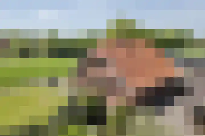 Geukerdijk 127 Haaksbergen thumbnail 32