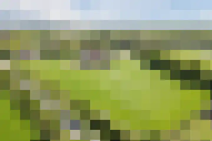 Geukerdijk 127 Haaksbergen thumbnail 36