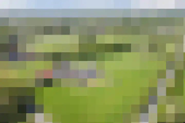 Geukerdijk 127 Haaksbergen thumbnail 37