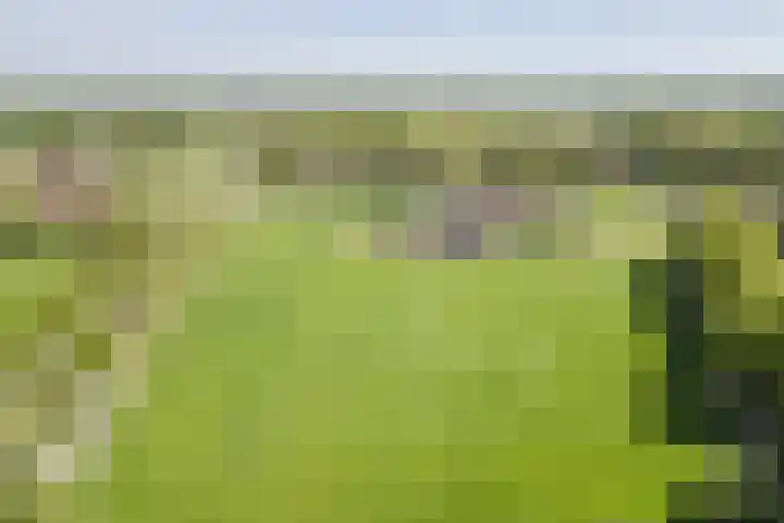 Geukerdijk 127 Haaksbergen thumbnail 38