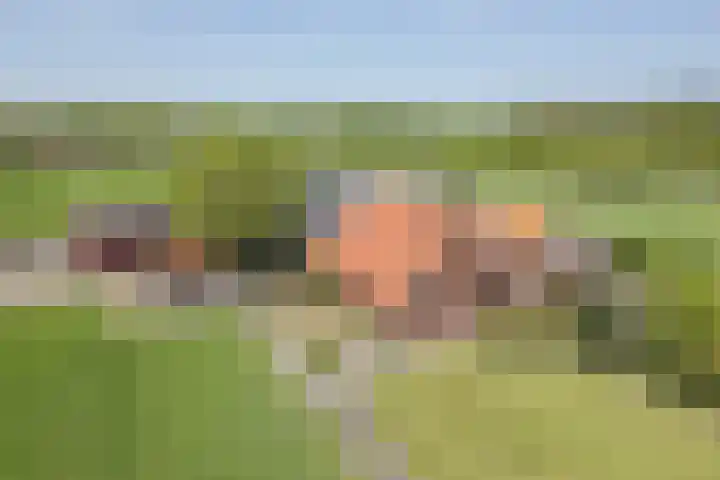 Geukerdijk 127 Haaksbergen thumbnail 39