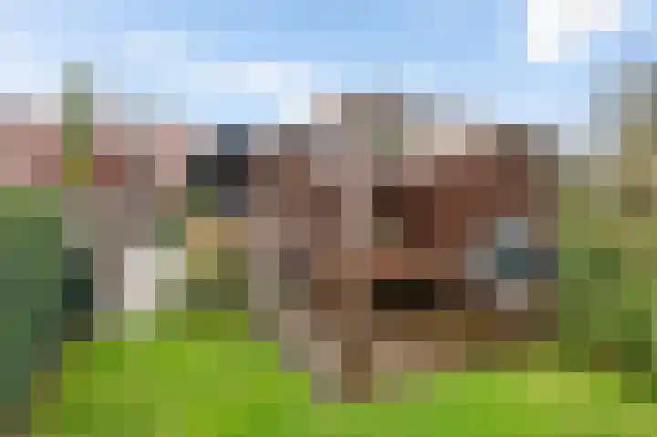 Geukerdijk 66 Haaksbergen thumbnail 42