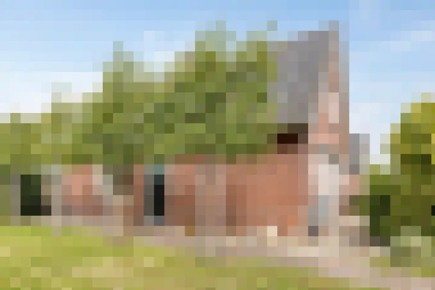 Geukerdijk 71 Haaksbergen thumbnail 20