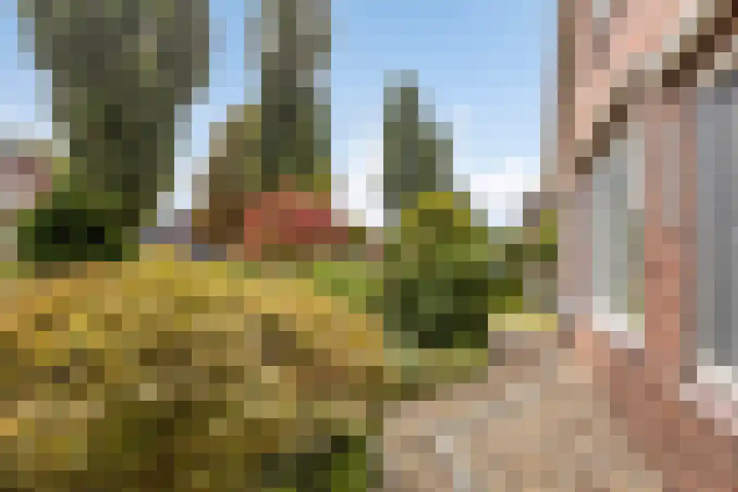 Geukerdijk 71 Haaksbergen thumbnail 28