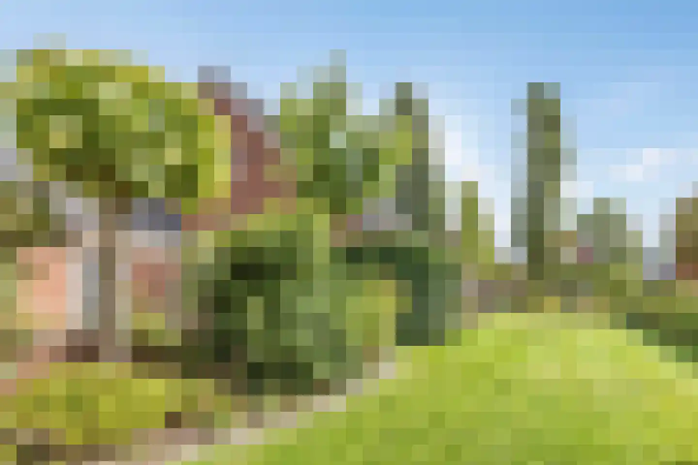 Geukerdijk 71 Haaksbergen thumbnail 5