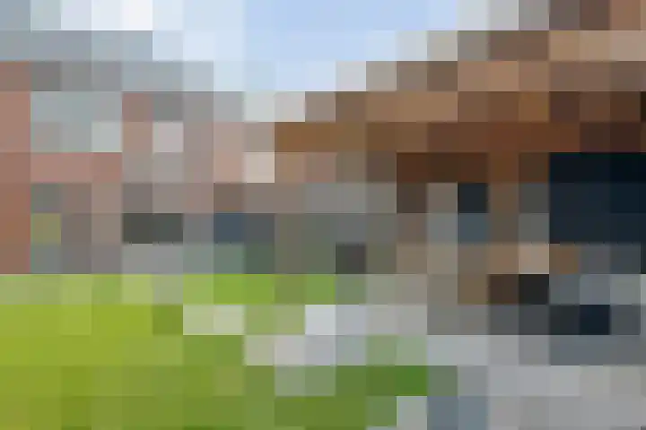 Geul 20 Kampen thumbnail 29