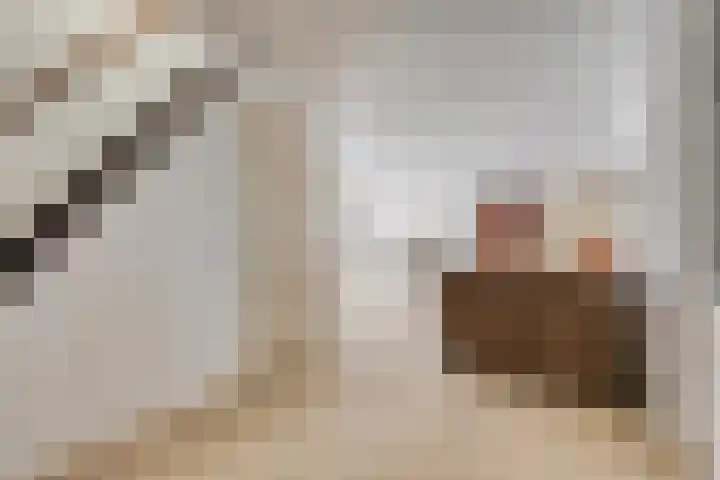 Geul 20 Tilburg thumbnail 10