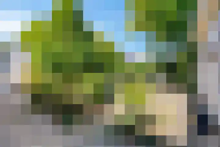 Geul 20 Tilburg thumbnail 27