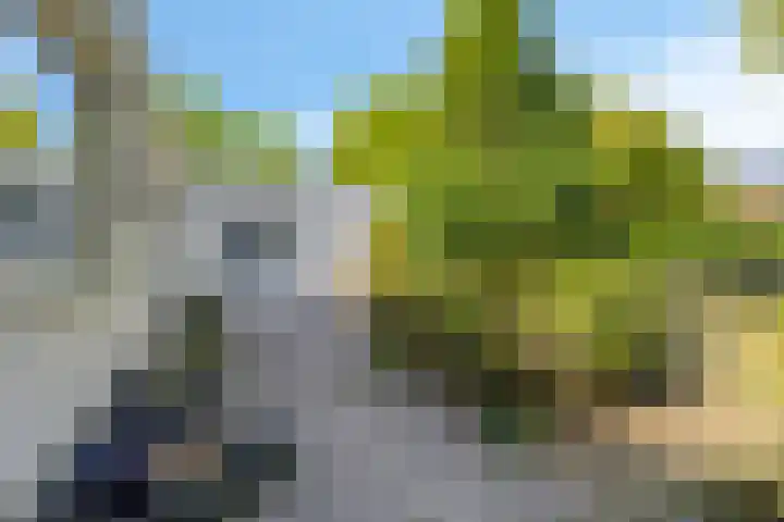Geul 20 Tilburg thumbnail 28
