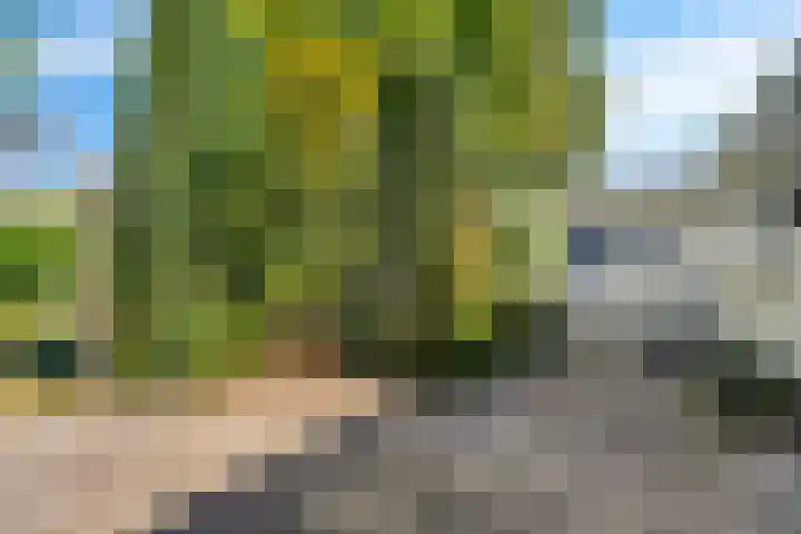 Geul 20 Tilburg thumbnail 29