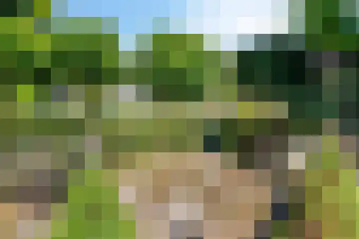 Geul 20 Tilburg thumbnail 32