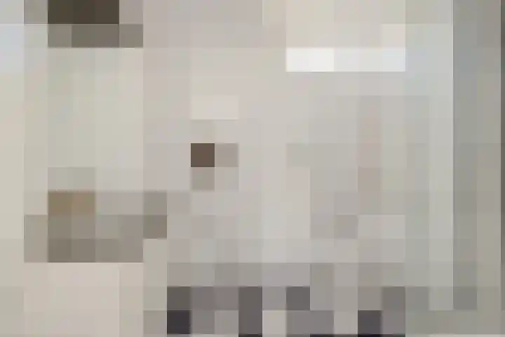 Geul 21 Deurne thumbnail 19