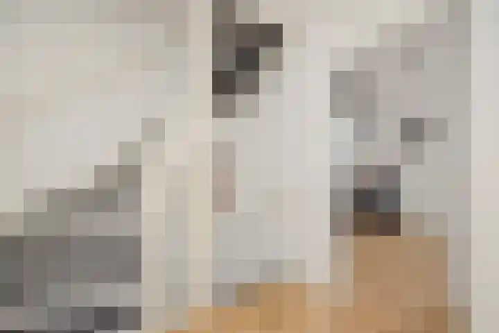 Geul 21 Deurne thumbnail 22