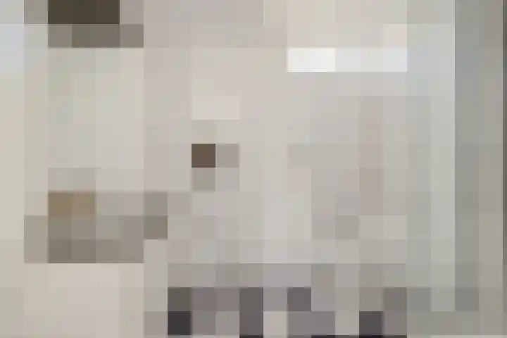 Geul 21 Deurne thumbnail 4