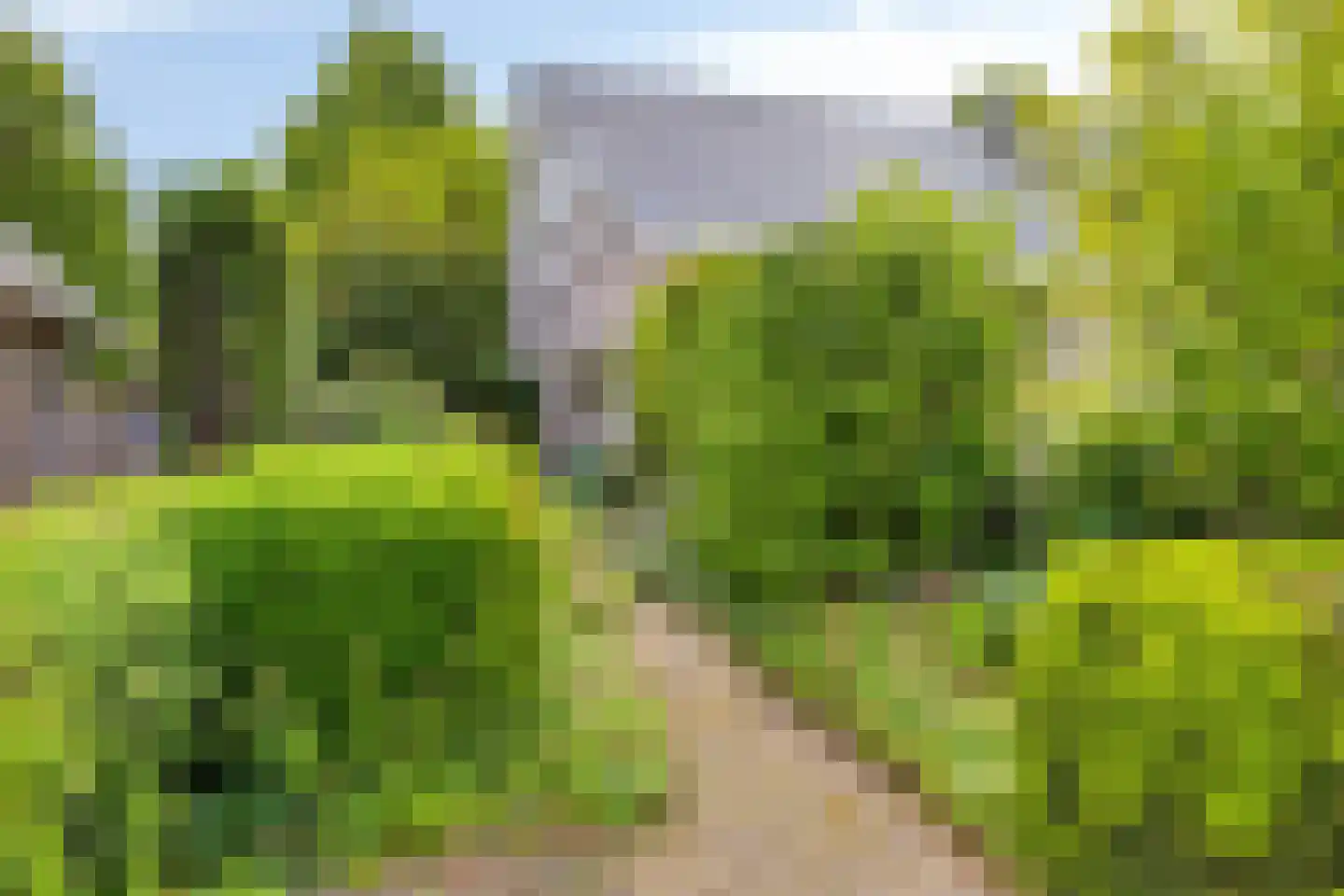 Geul 22 Urk thumbnail 10