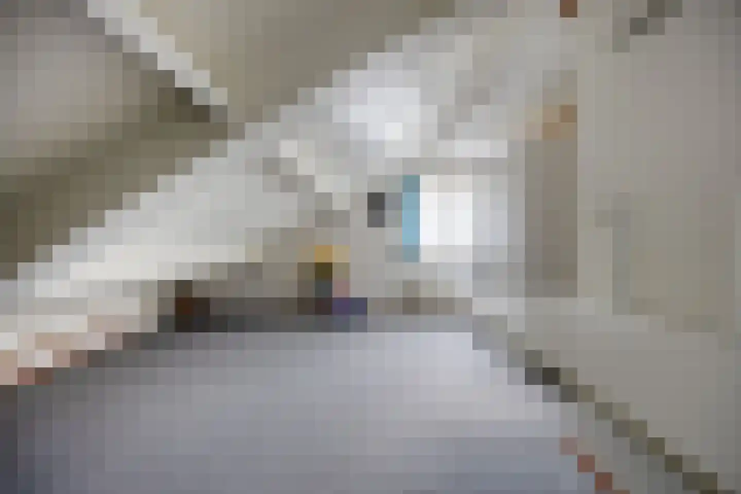 Geul 22 Urk thumbnail 47