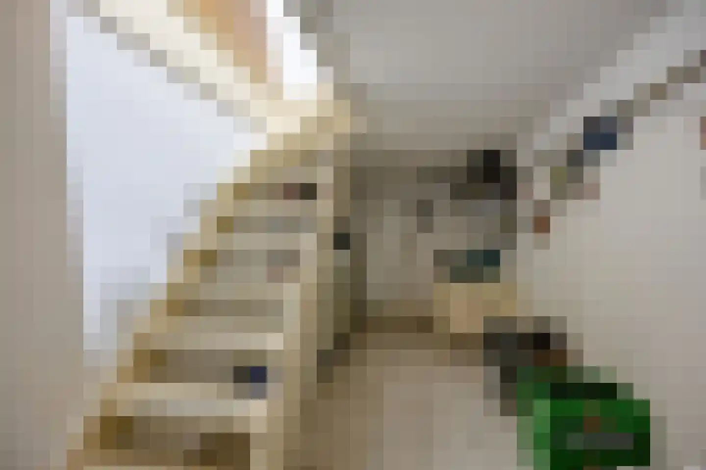 Geul 22 Urk thumbnail 49