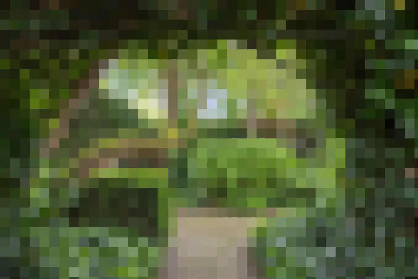 Geul 22 Urk thumbnail 50