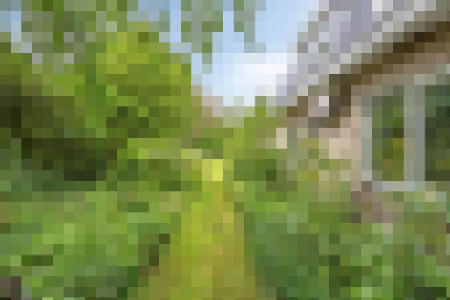Geul 22 Urk thumbnail 51