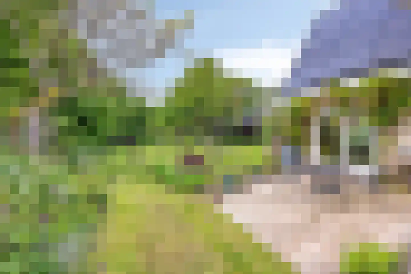Geul 22 Urk thumbnail 53