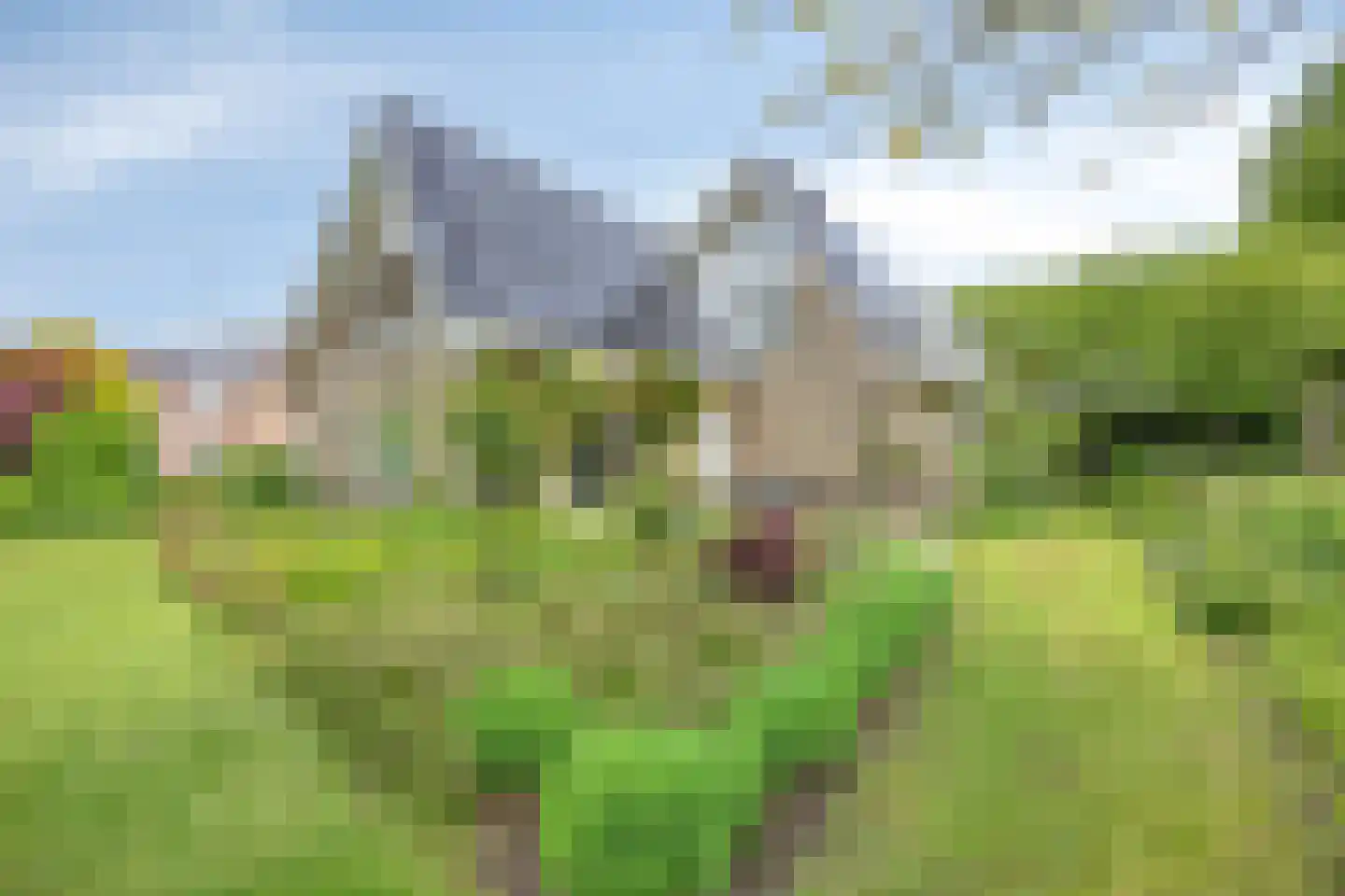 Geul 22 Urk thumbnail 54