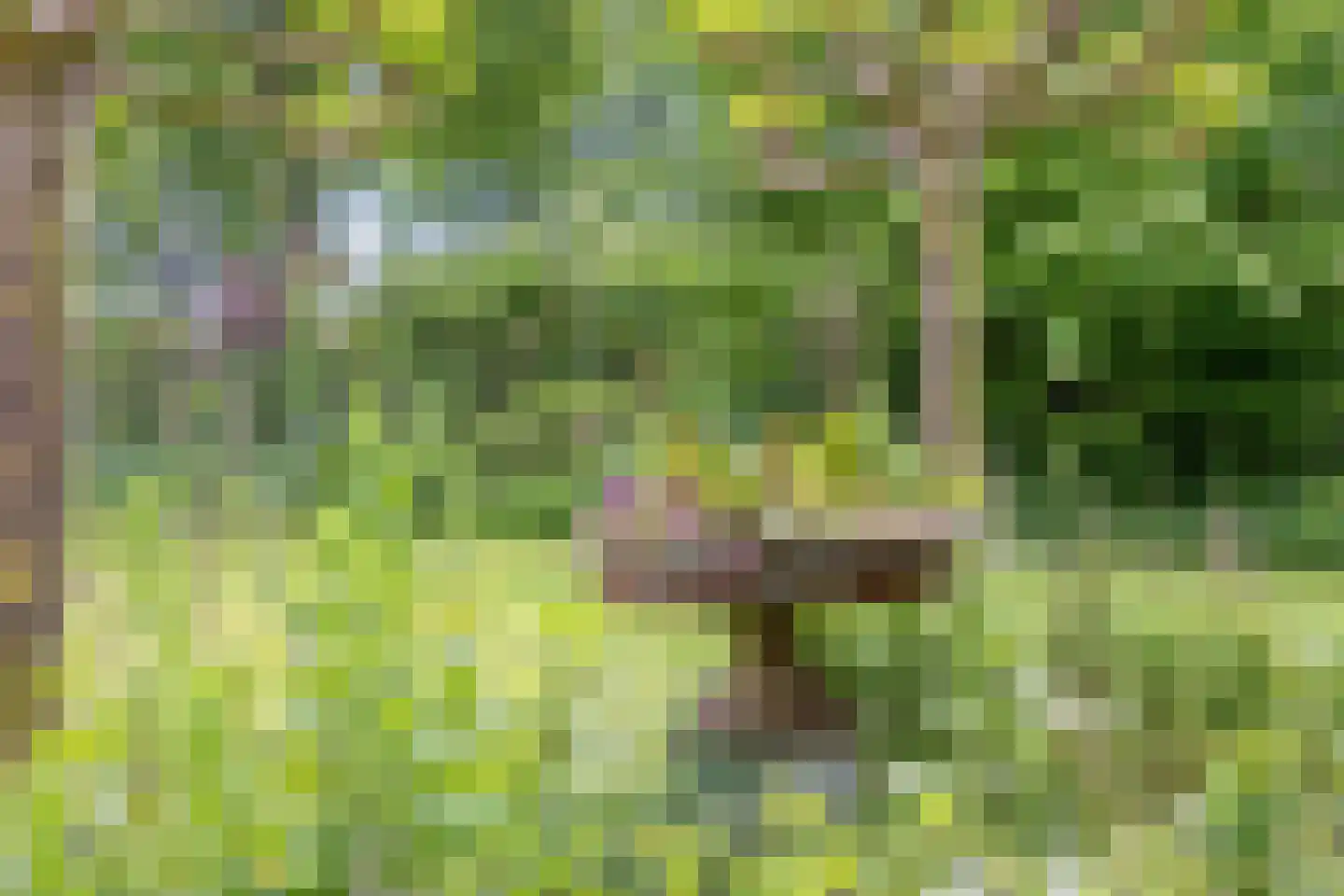 Geul 22 Urk thumbnail 61