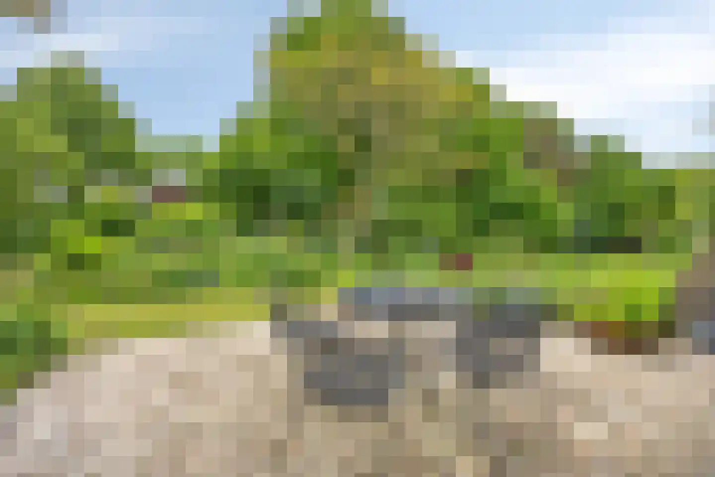Geul 22 Urk thumbnail 63