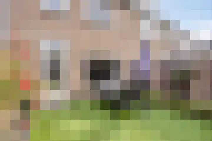 Geul 24 Deurne thumbnail 5