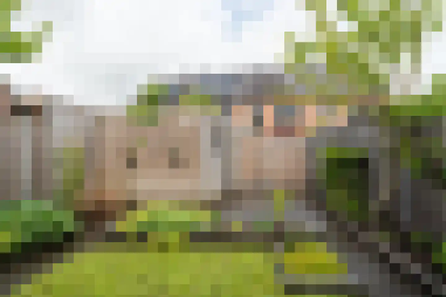 Geul 8 Kampen thumbnail 24