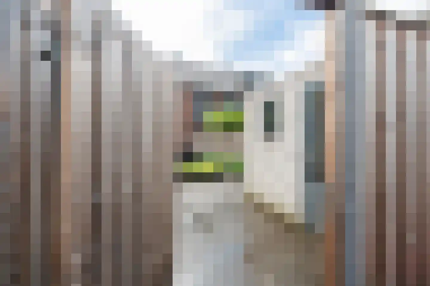Geul 8 Kampen thumbnail 28