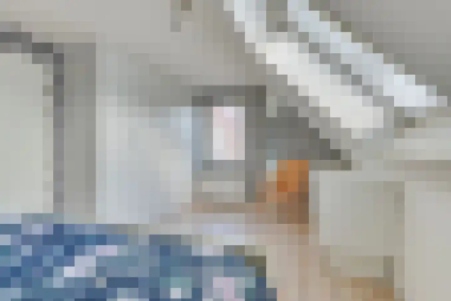 Geul 9 Heerhugowaard thumbnail 21
